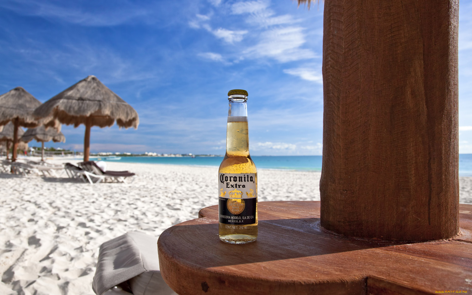 beer, , , , beach
